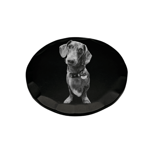 Personalised Photo & Logo Ball Marker featuring a black and white photo of a cute dog on a sleek black surface.