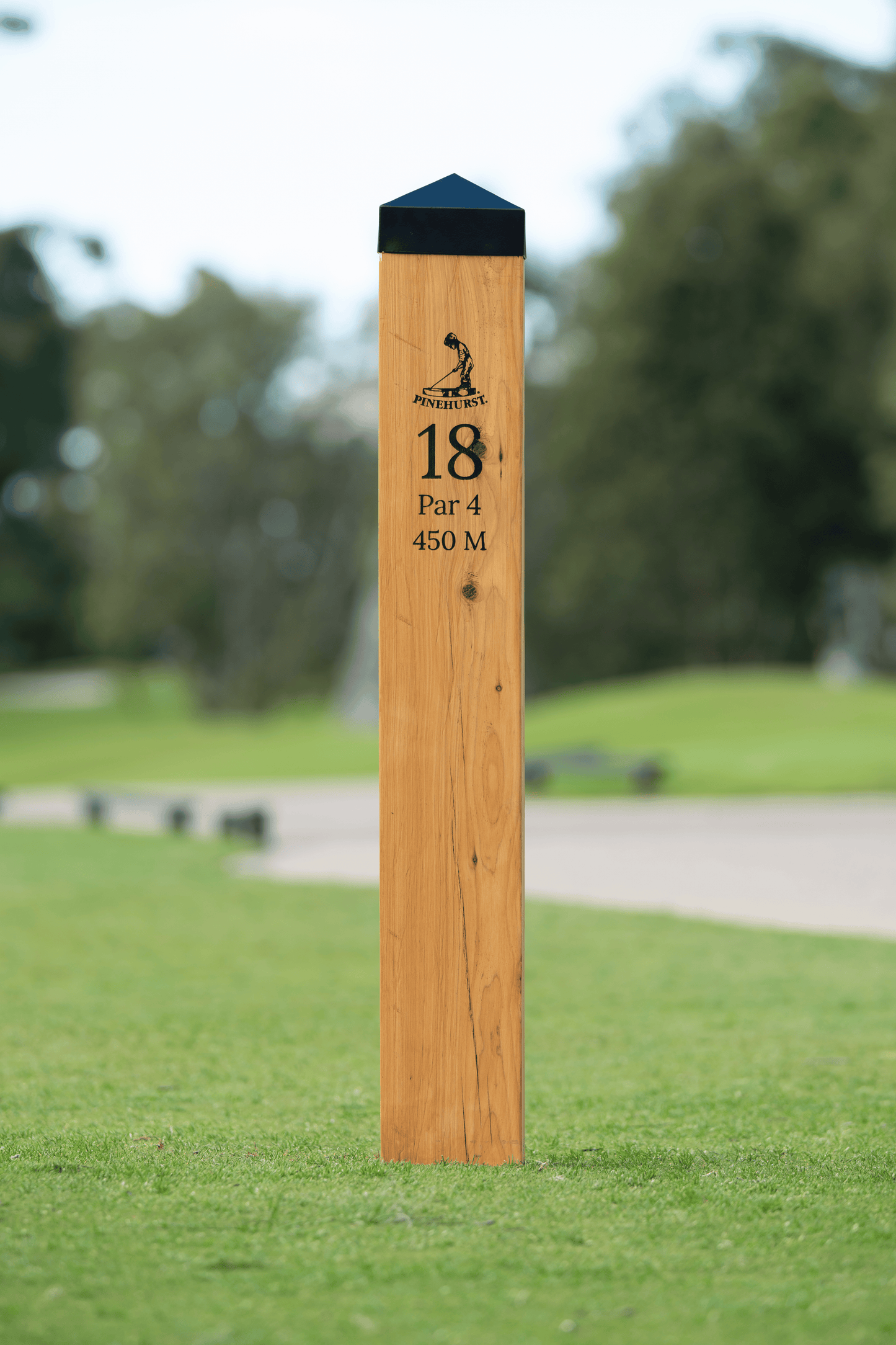 Black powder coated steel post cap