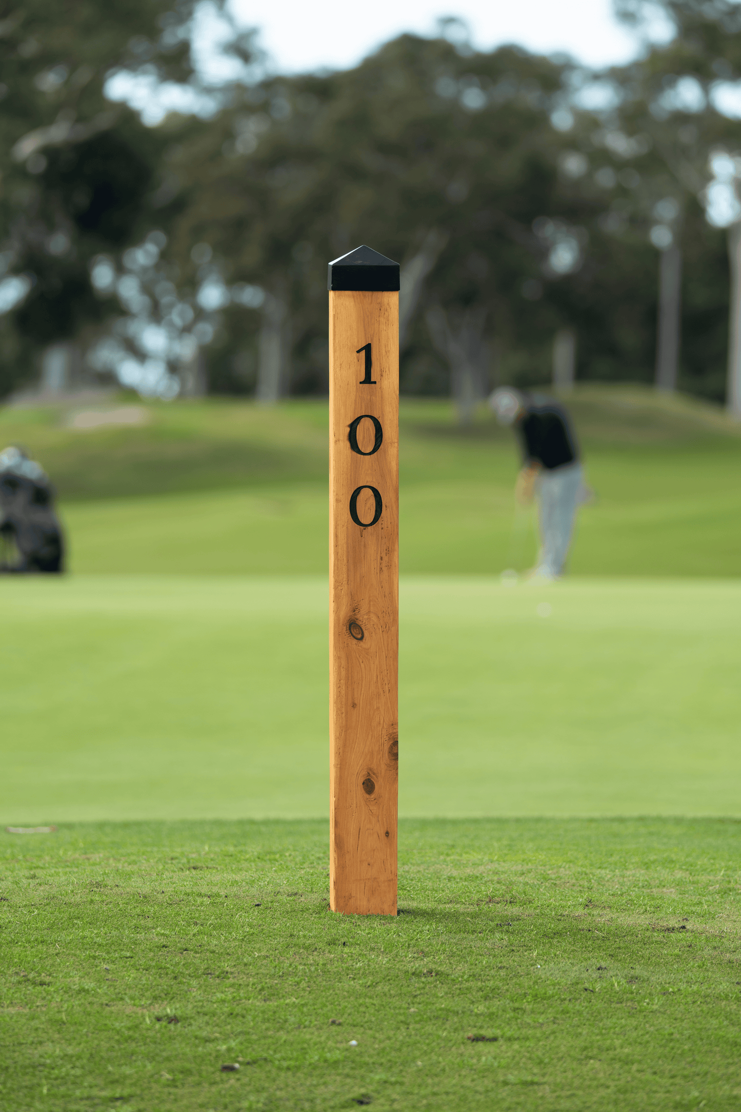 Iron Bark Distance Marker Post showing 100 meter on a golf course.