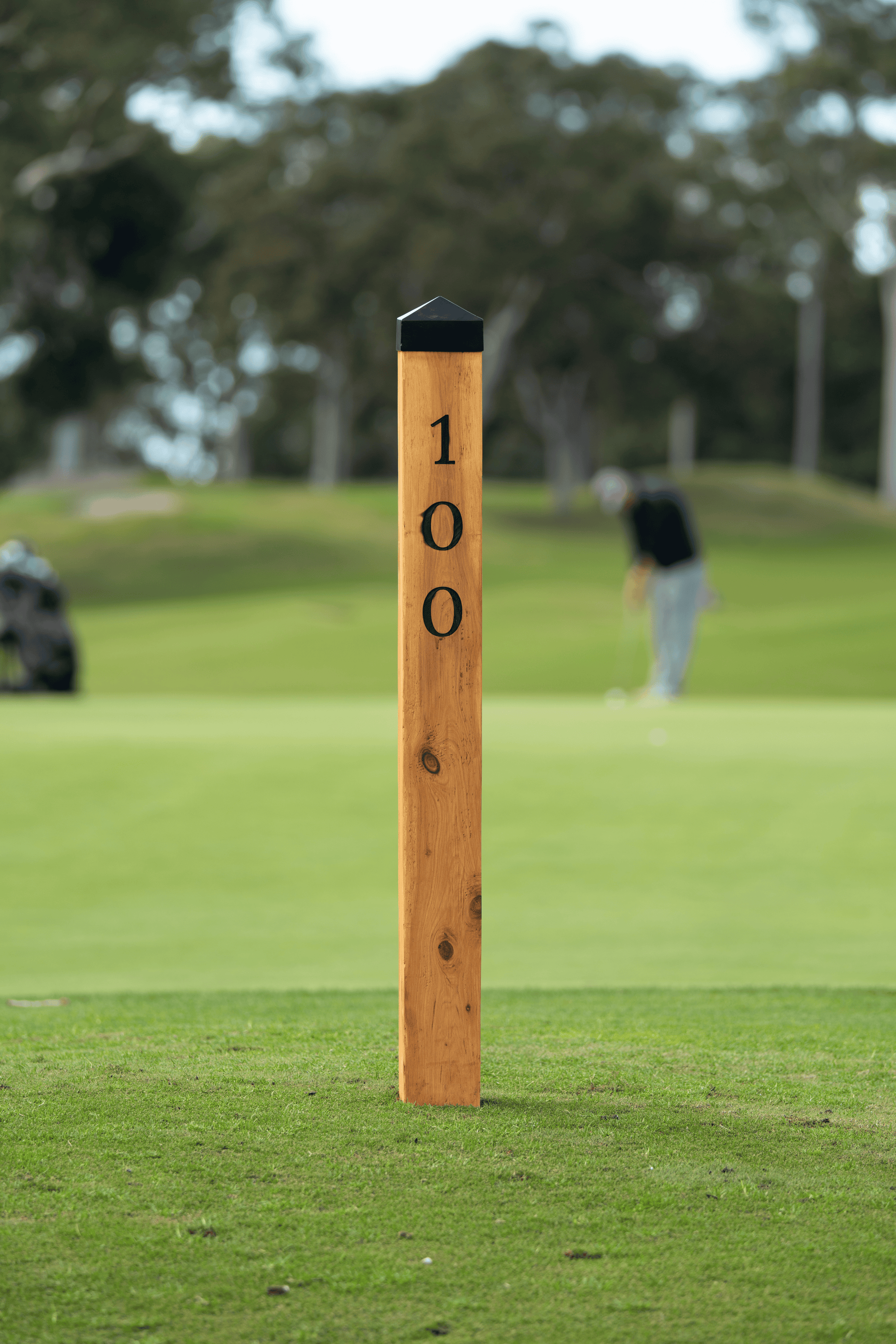 Iron Bark Distance Marker Post showing 100 meter on a golf course.