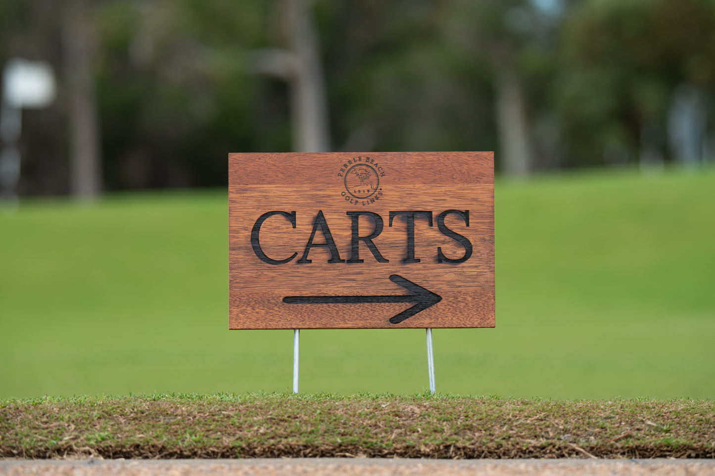 Laser Engraved Merbau Course Signage - carts