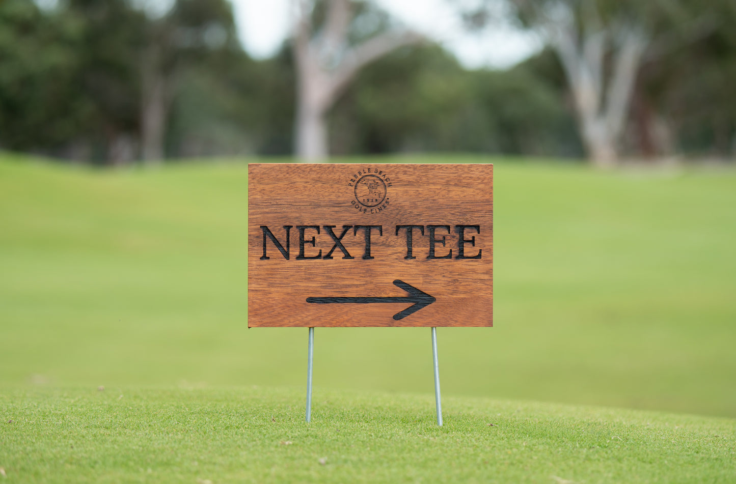 Laser Engraved Merbau Course Signage - next tee