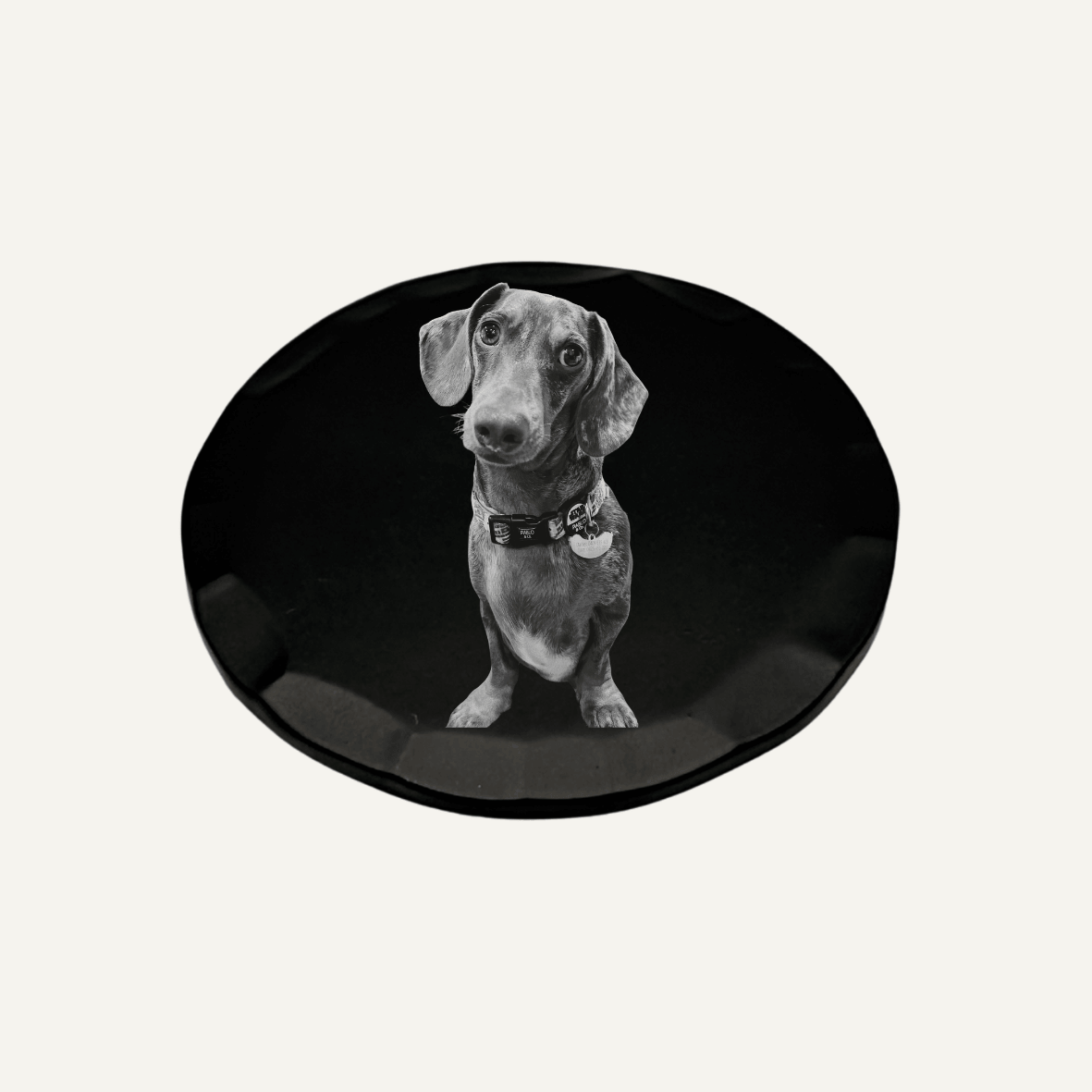 Personalised Photo & Logo Ball Marker