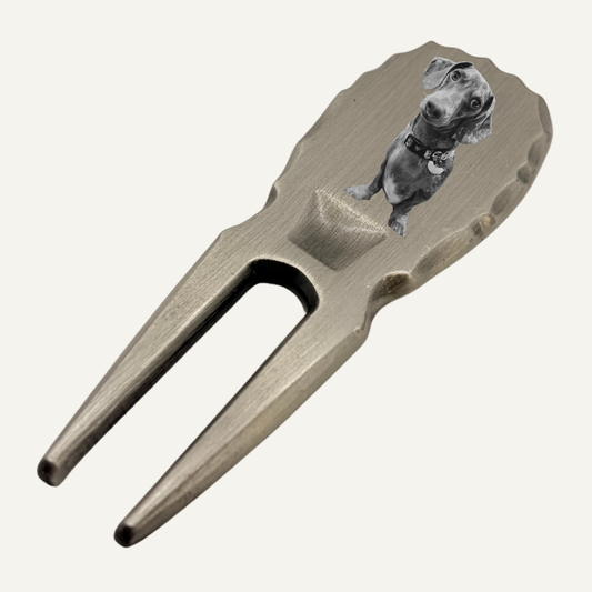 Personalised Photo & Logo Divot Tool